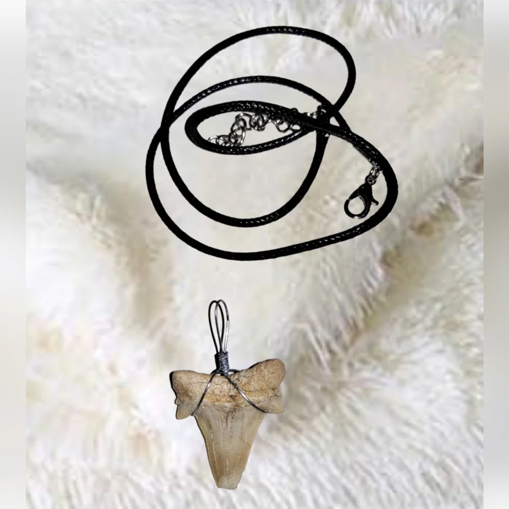 Fossilized Shark Tooth Pendant and Black Cord Leather Necklace